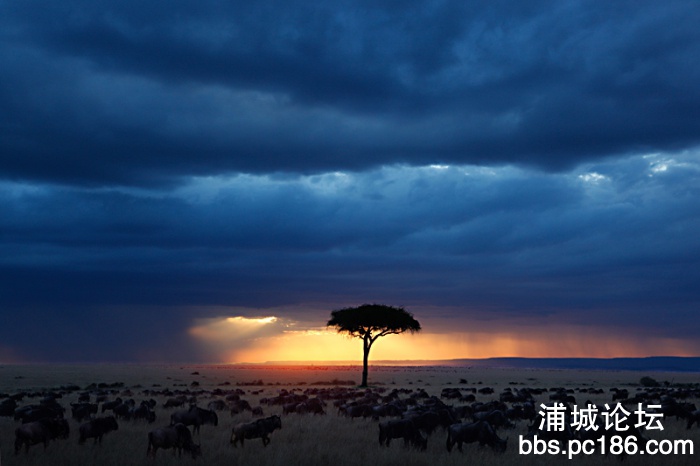 暴风雨前的宁静.jpg