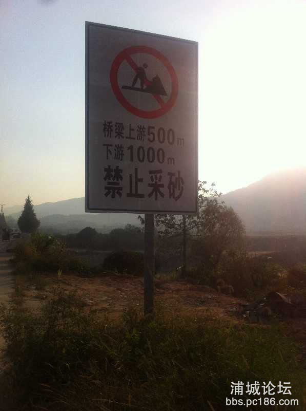 296074