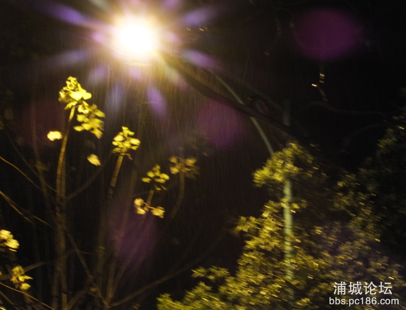 QQ图片20160122205136.png
