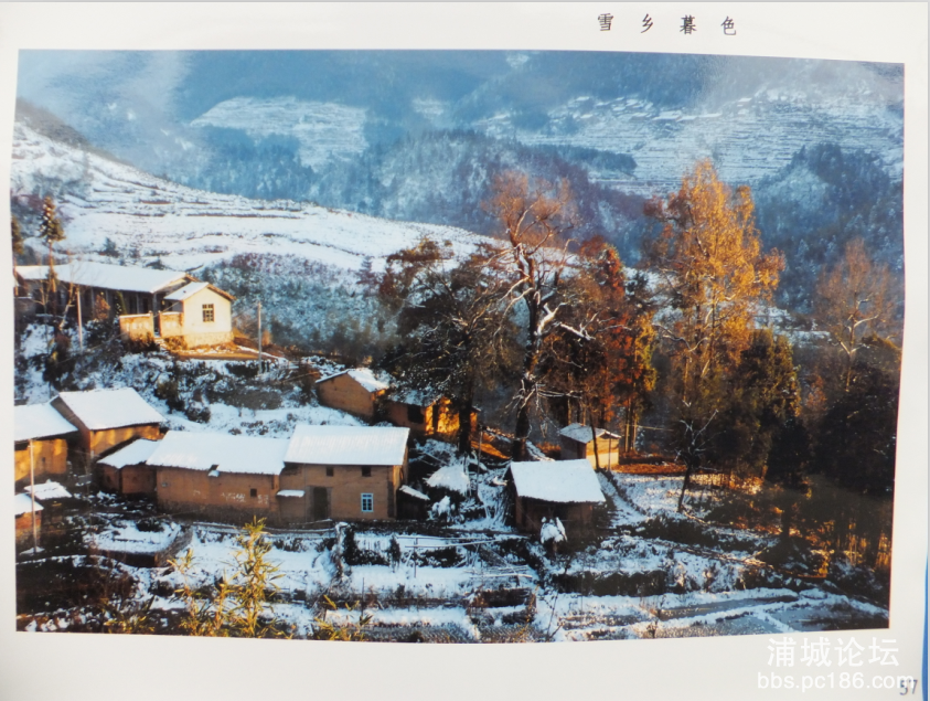 QQ图片20160213173643.png
