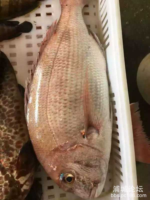332714