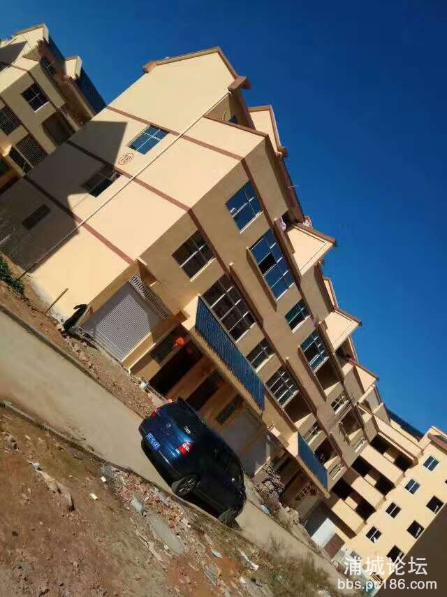mmexport1485429094531.jpg