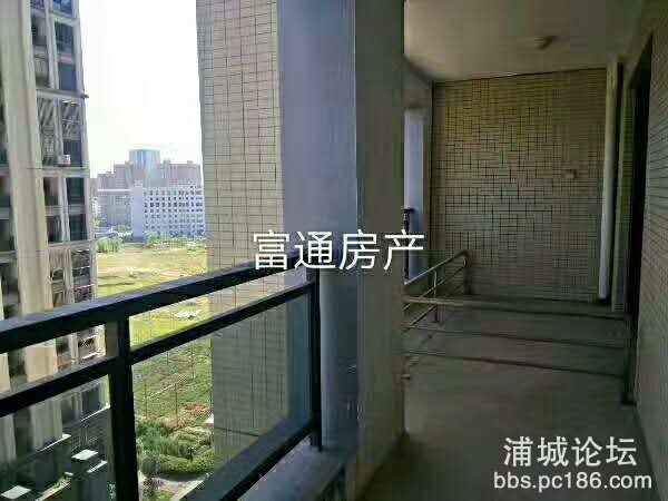 new image - 9diyx.jpg