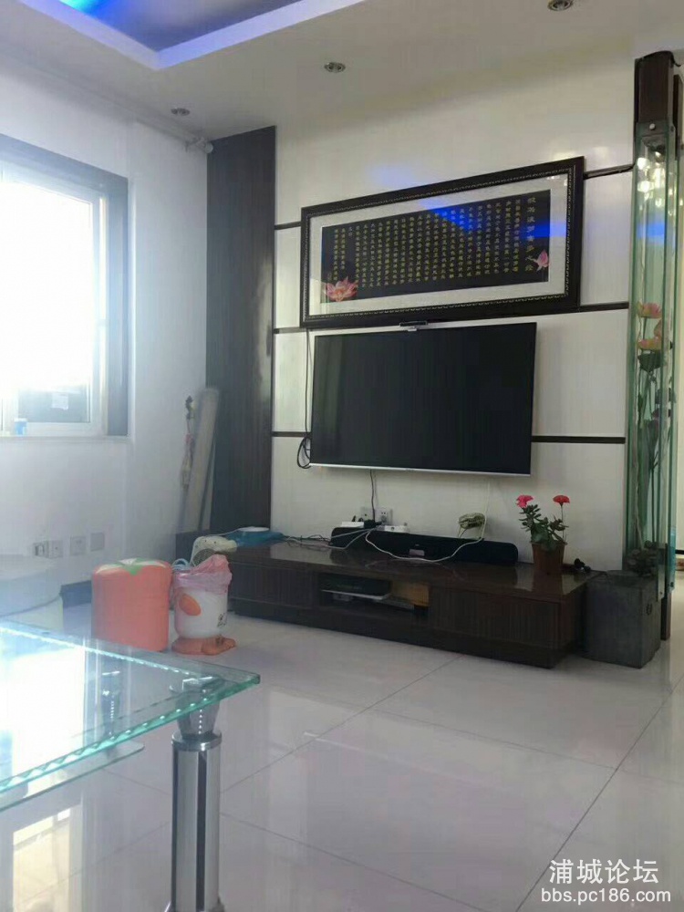 mmexport1504404902094.jpg
