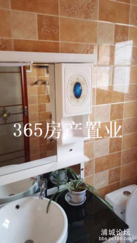 House_5ed4bd1e-1127-4e46-a699-08a73efea0c4_big.jpg