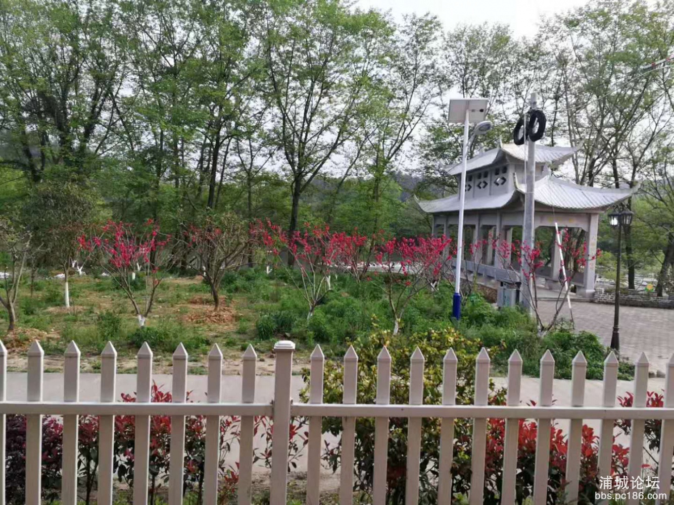 门口景色