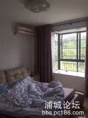 241644507561418597.jpg