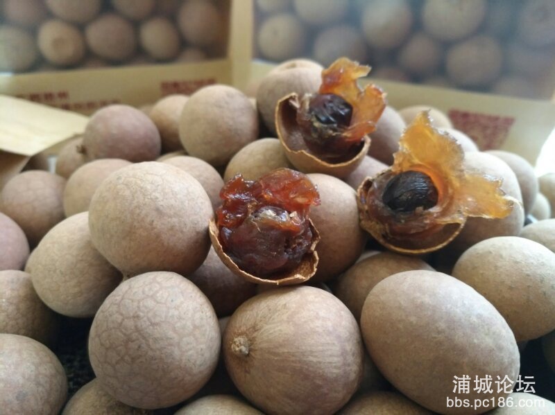 微信图片_20180127113150.jpg