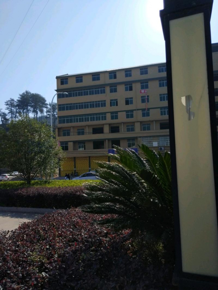 IMG_20170529_080651.jpeg