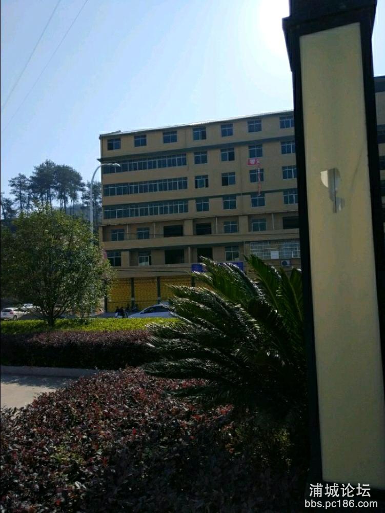 IMG1536362152081.jpeg