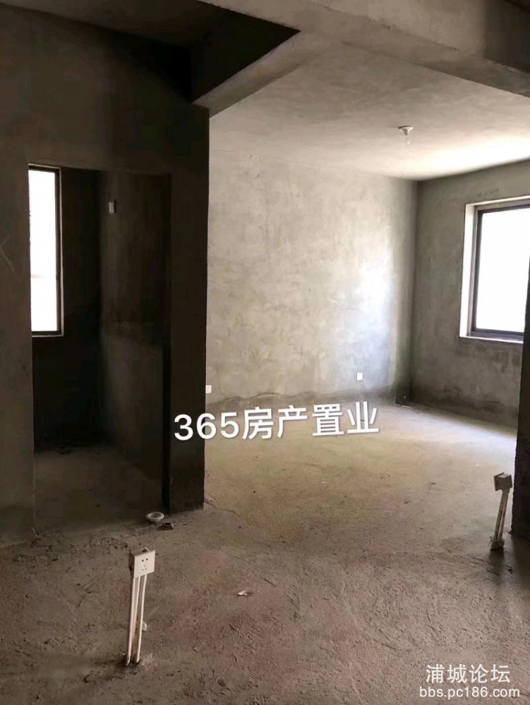 mmexport1542756218167.jpeg