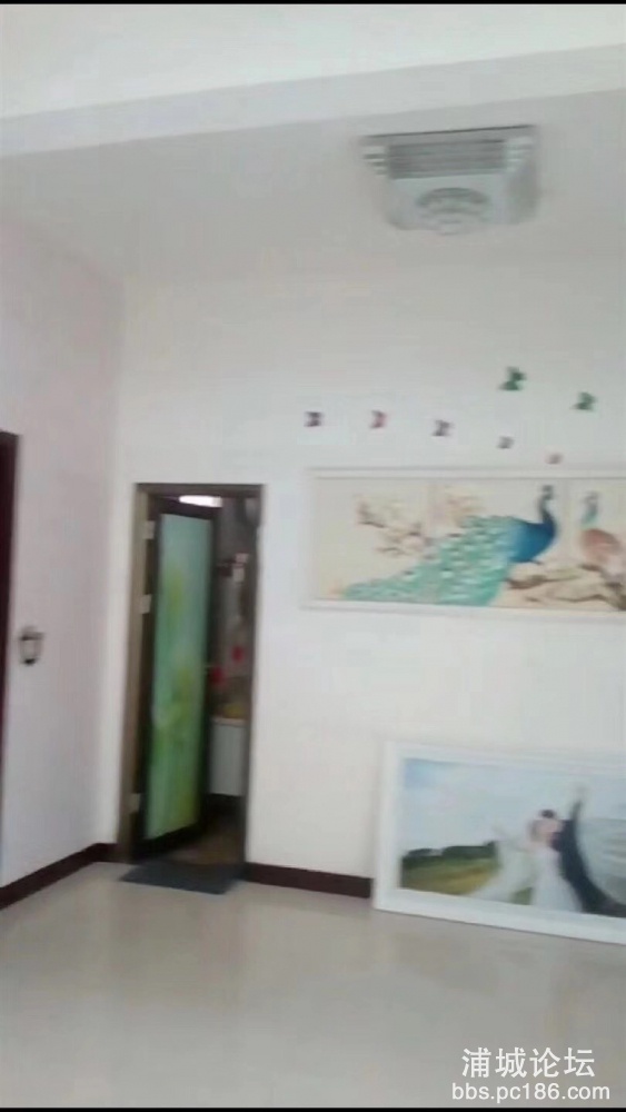 236516791982538073.jpg