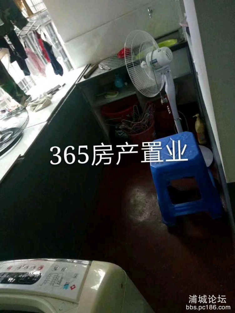 mmexport1543992207595.jpeg