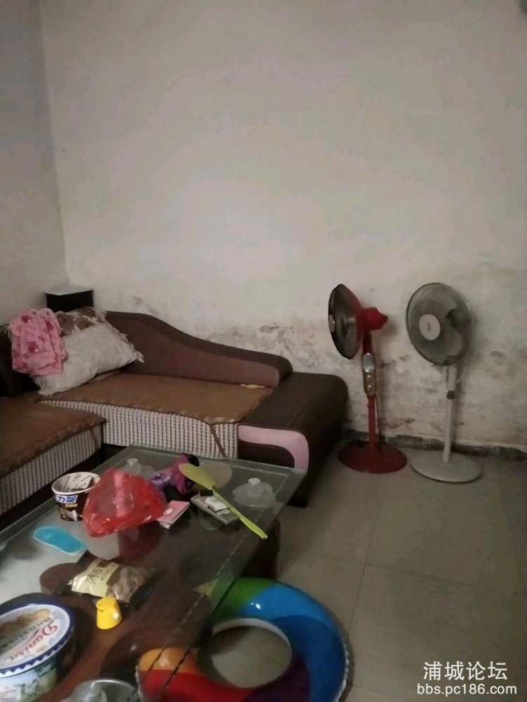 mmexport1544230253845.jpeg
