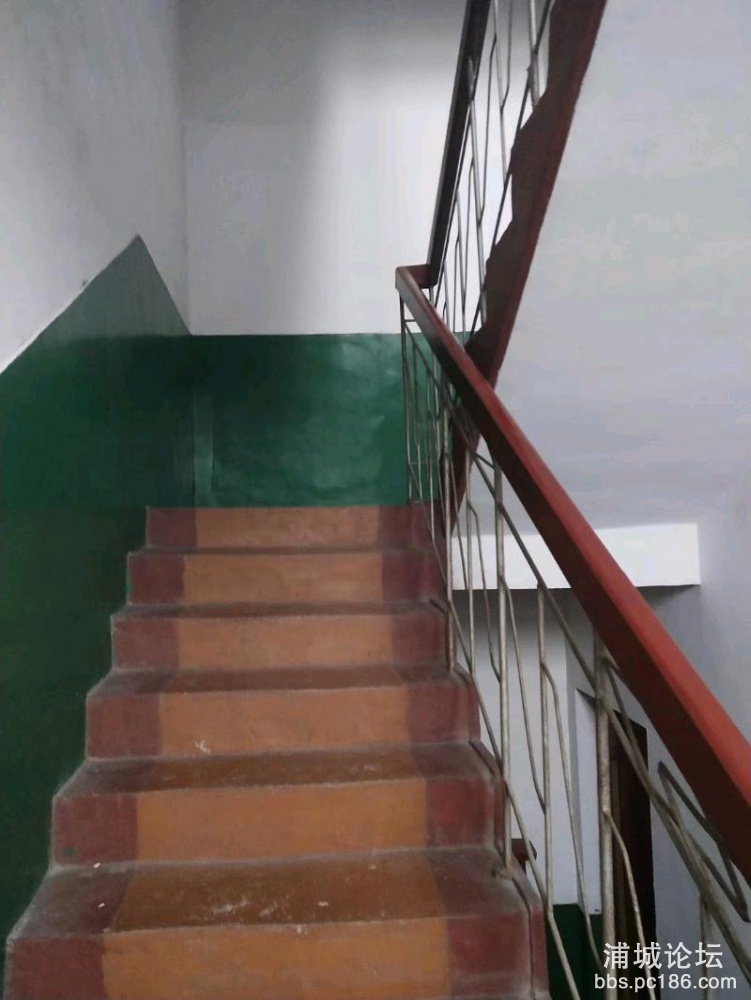 mmexport1544573981145.jpeg