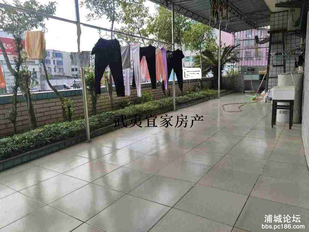 172606vedf77nfrjvfe9gg.jpg