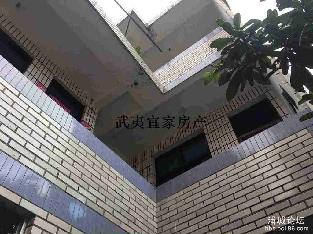 59f543a08491480ca22aec854d2b37bb.jpg