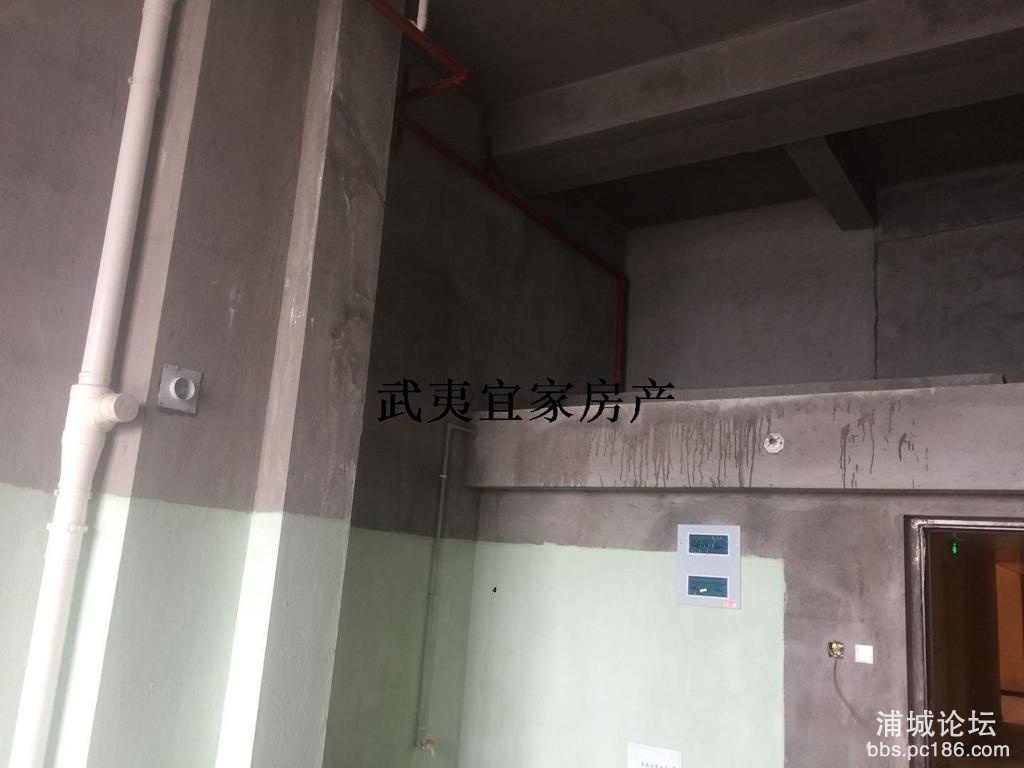 d15a406dad7e42c49916b64a74c12b3e.jpg