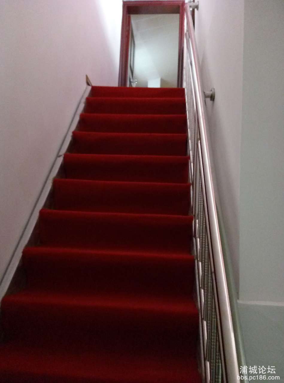 20190316_226479_1552711564644.jpg