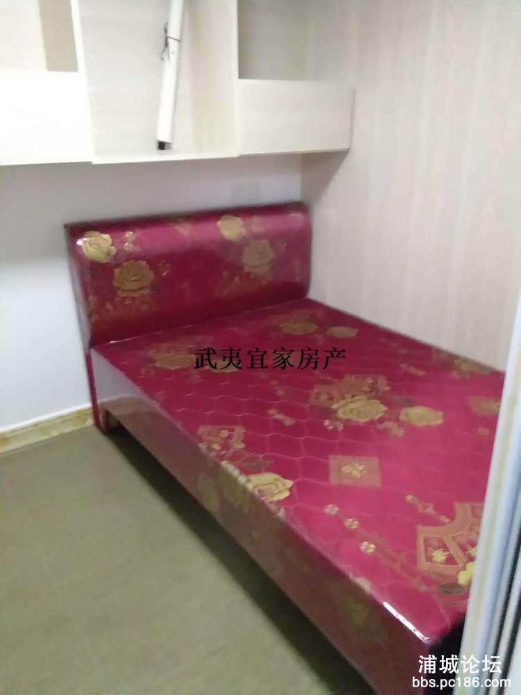 153227m6yca4yquu1y5a9b.jpg