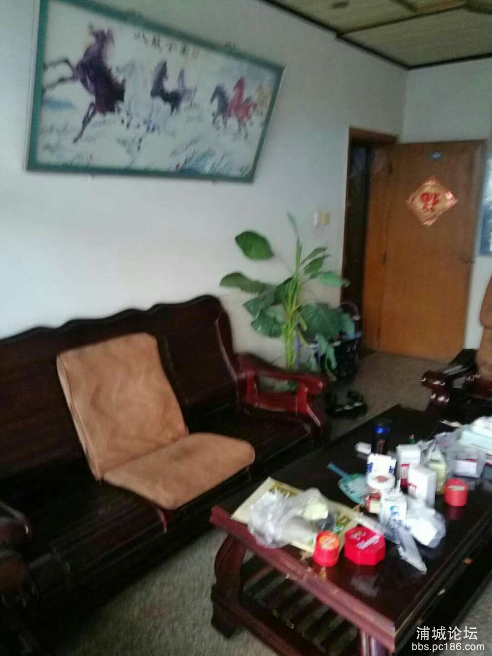 20190518_228877_1558141502315.jpg