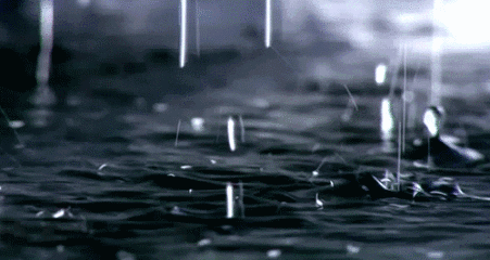 e397ff7e39a1d41857d97502d3d32096.gif