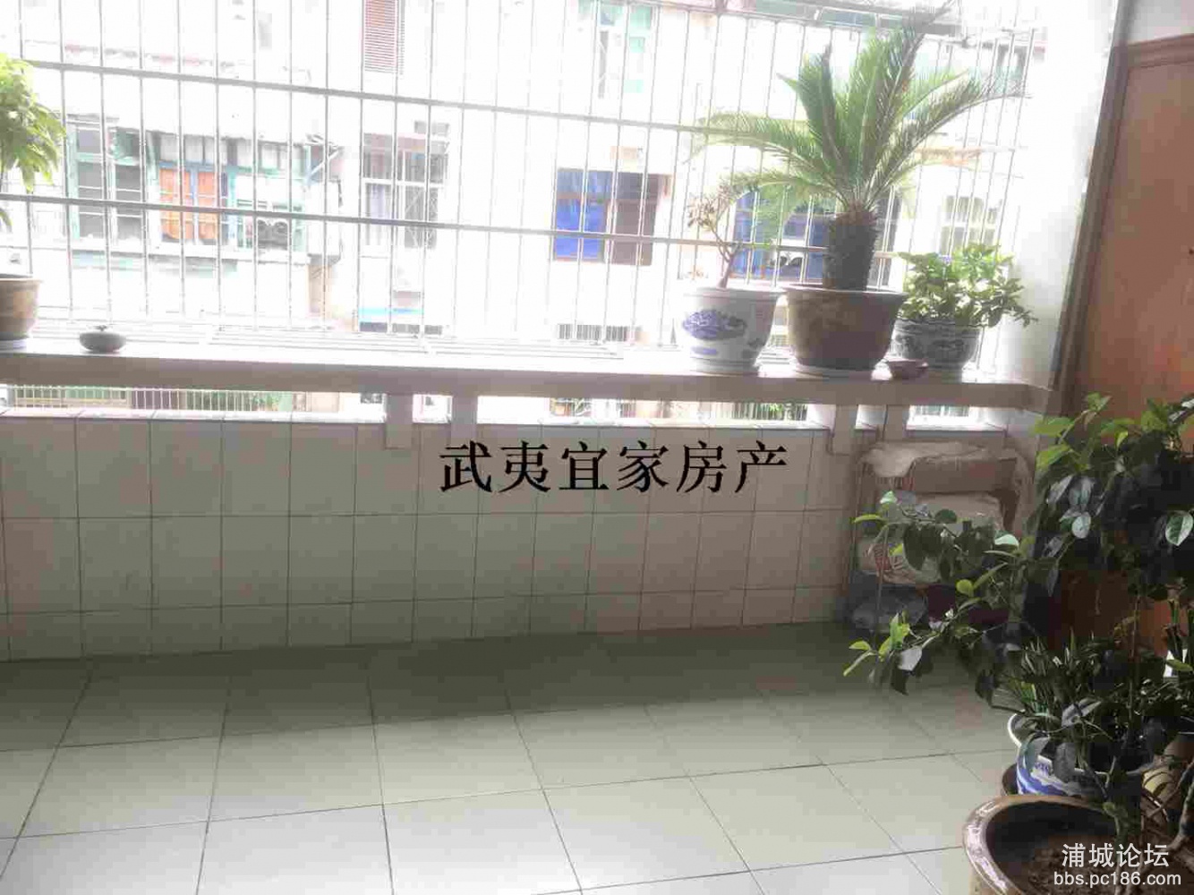 b7b4efcd5a244f0390fe26ff6eba9552.jpg