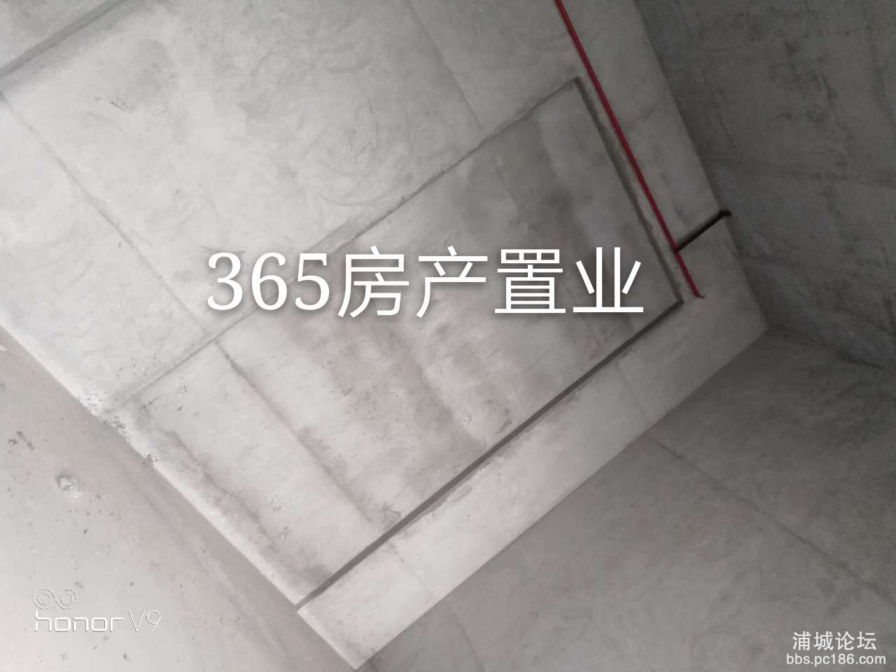 20190606_228717_1559784006691.jpg