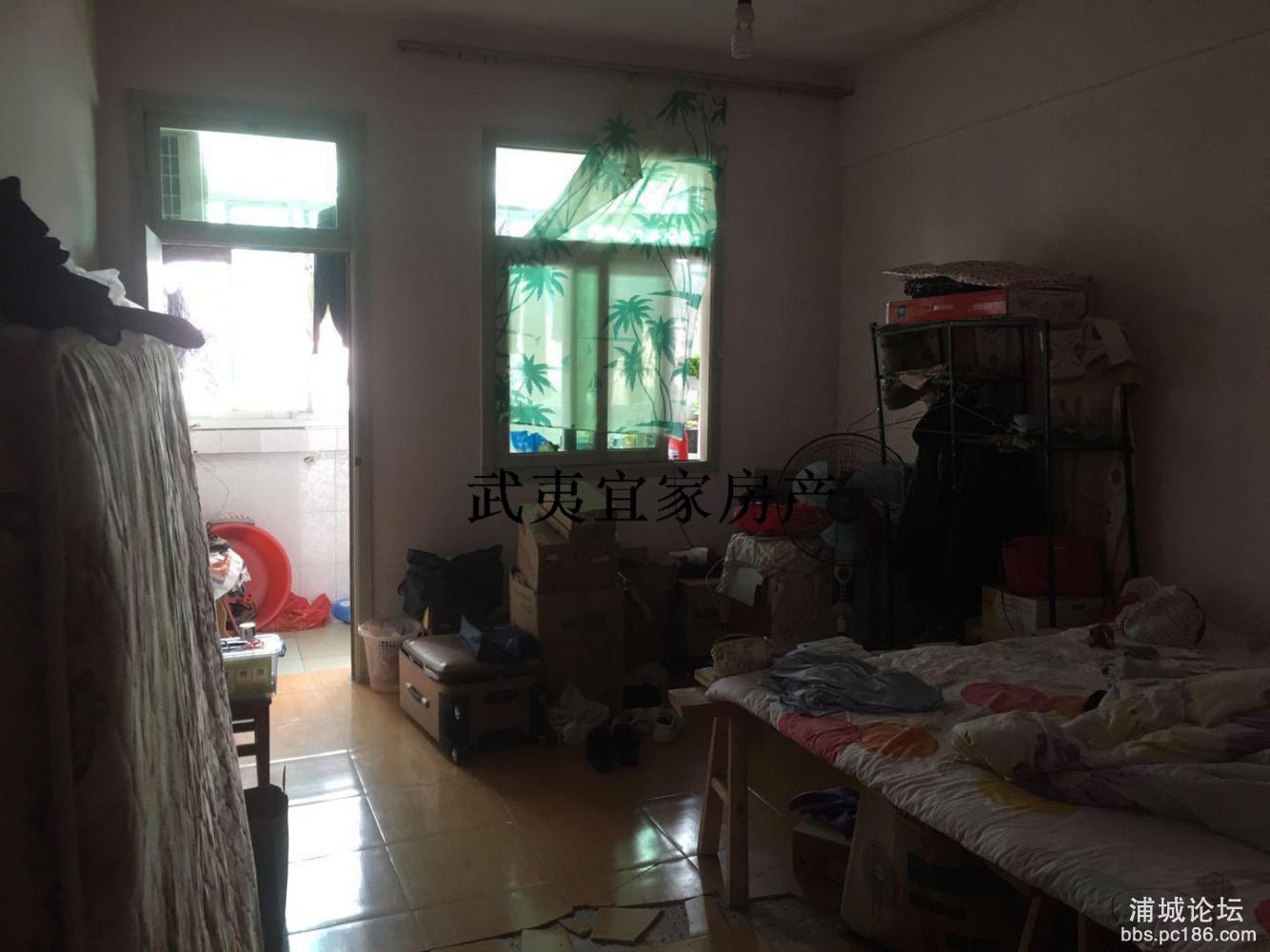 d866cddf51584e1e9b5ace77ff632a81.jpg
