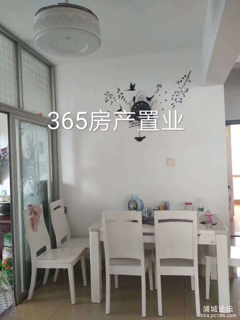 20190708_228717_1562549182851.jpg