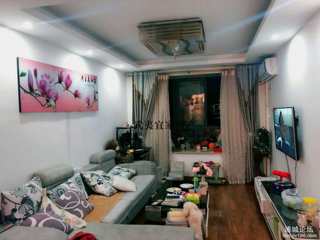 f61dbd7a3a234b589e0e246f66ab26e8.jpg