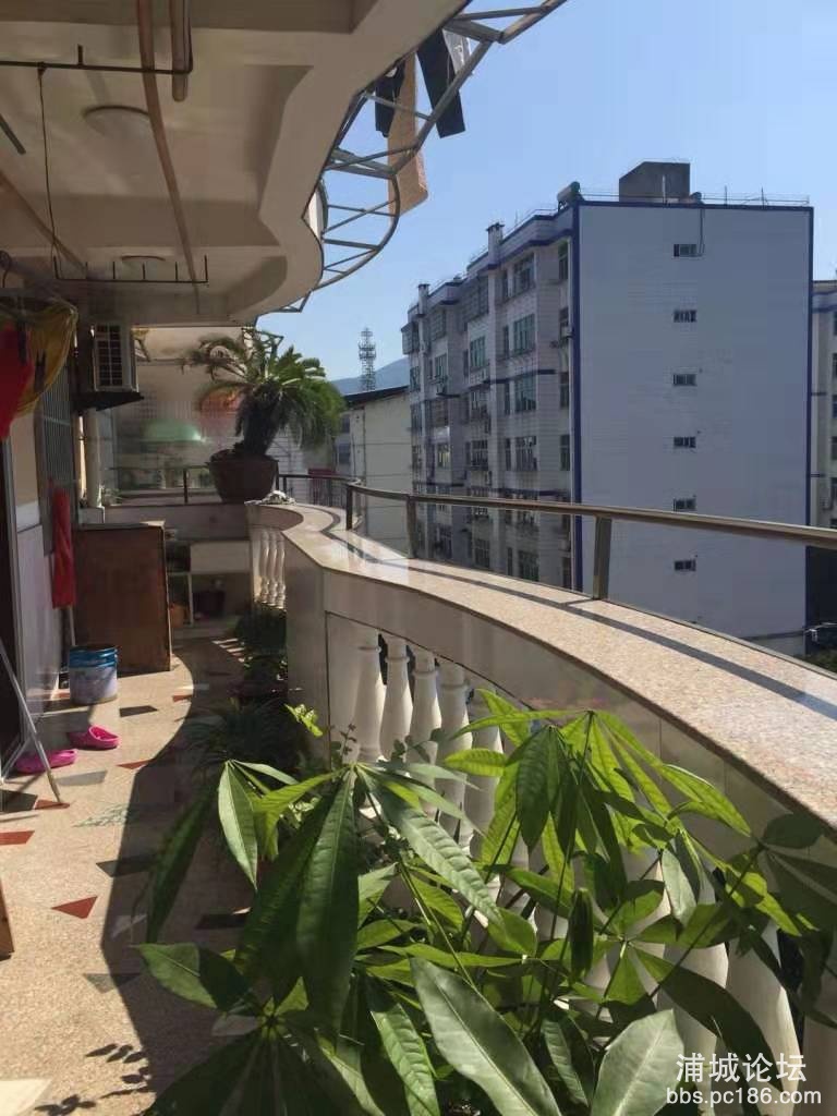 微信图片_201907271129017.jpg