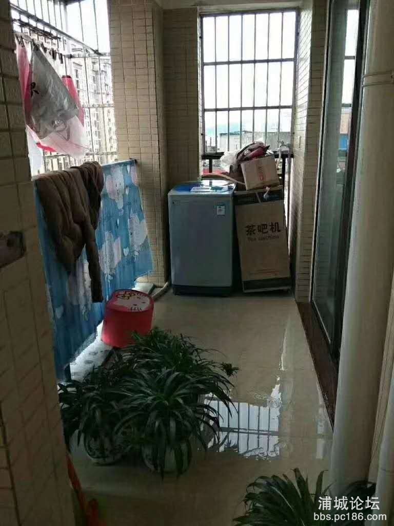 微信图片_201906270857375.jpg