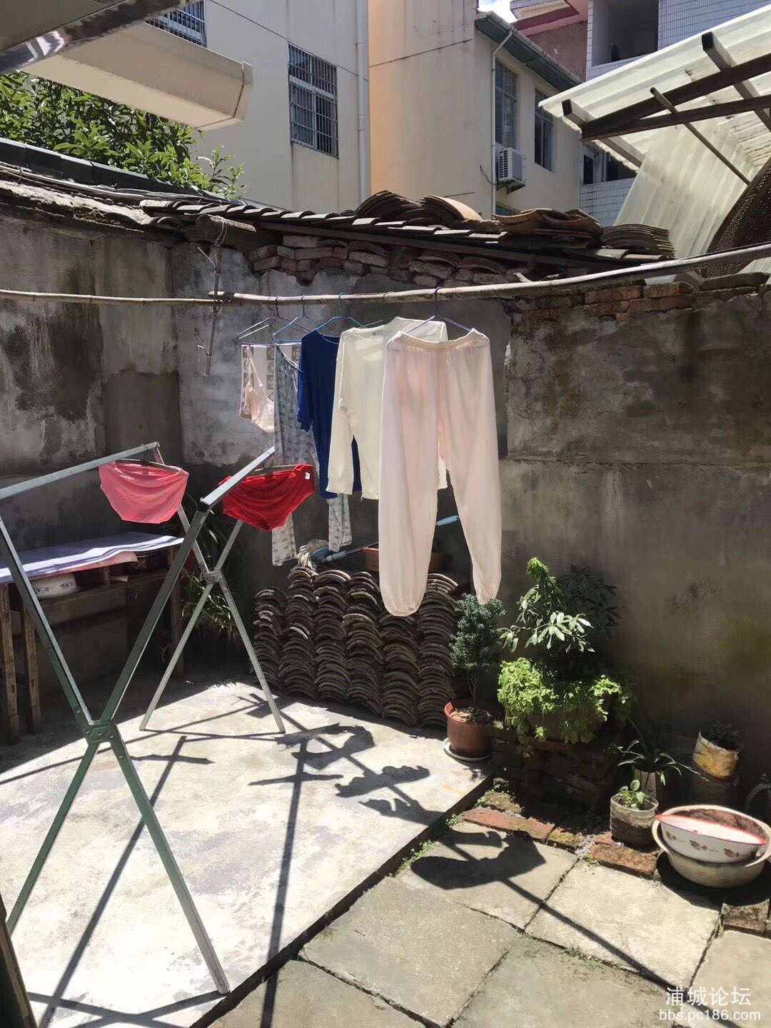 微信图片_20190818225459.jpg