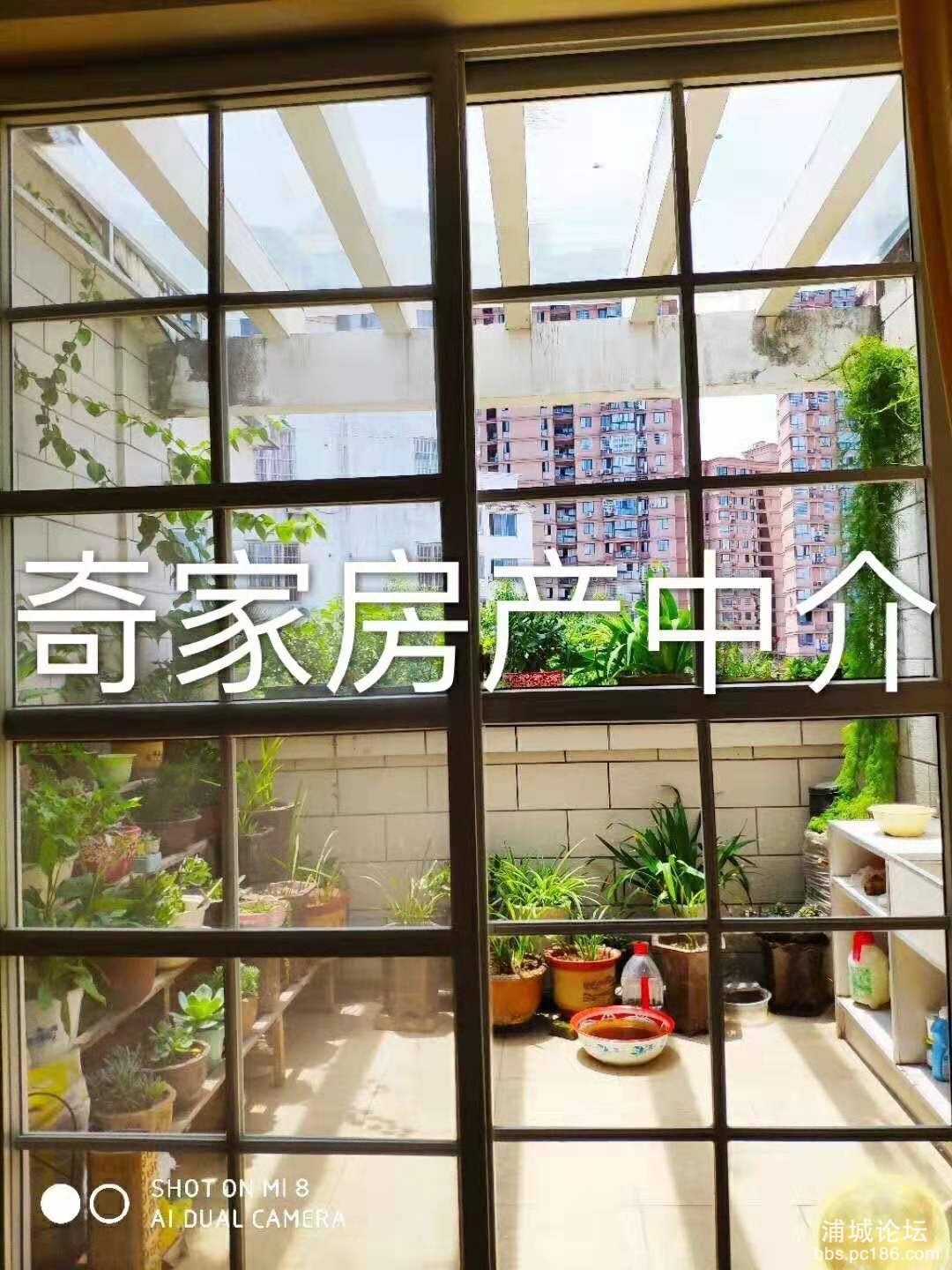 微信图片_201908261133164.jpg