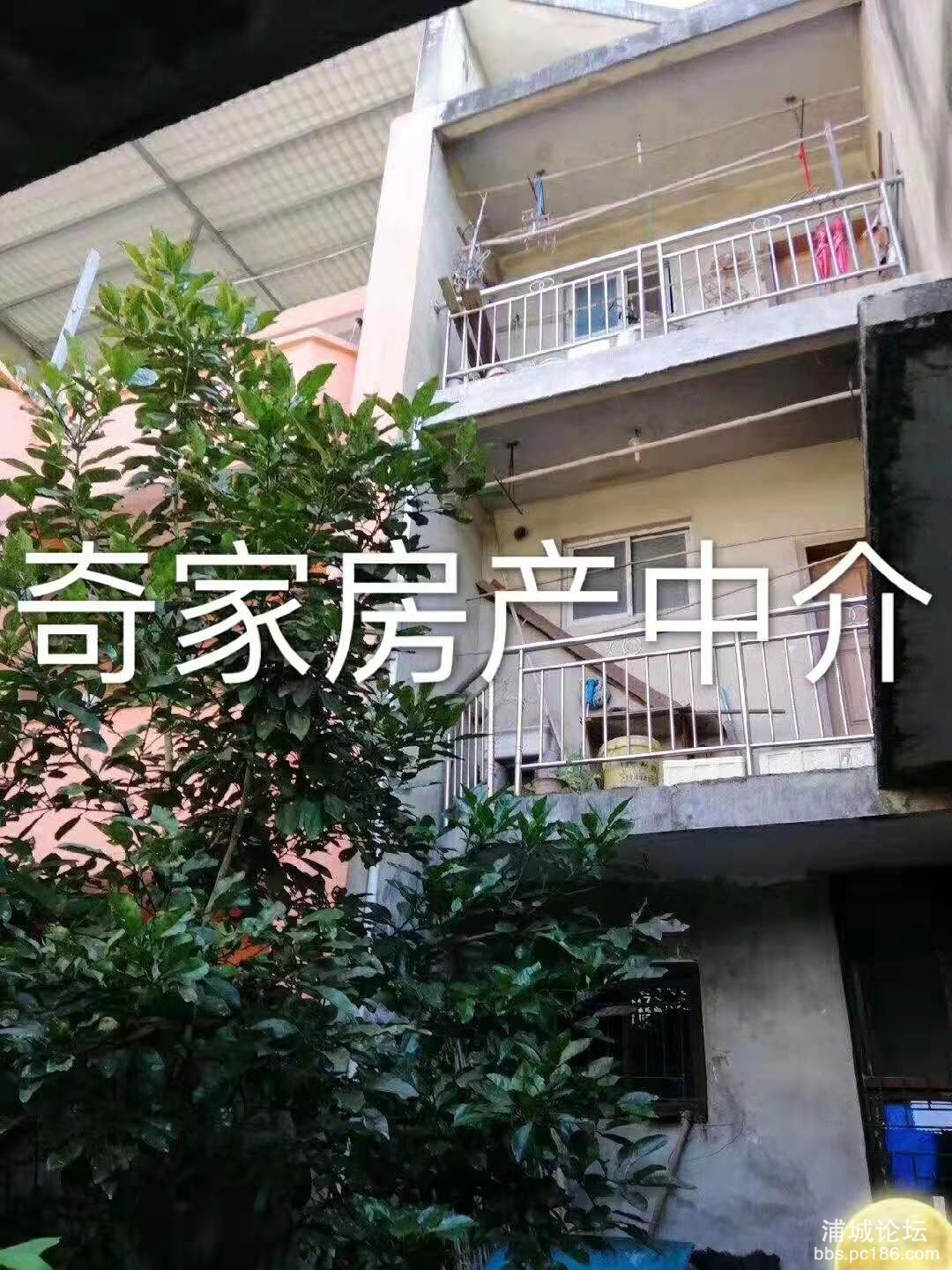 微信图片_20190826210932.jpg