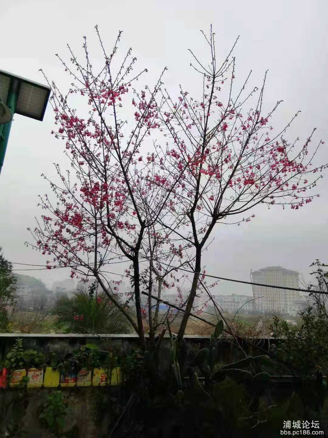 微信图片_20190906235131.jpg