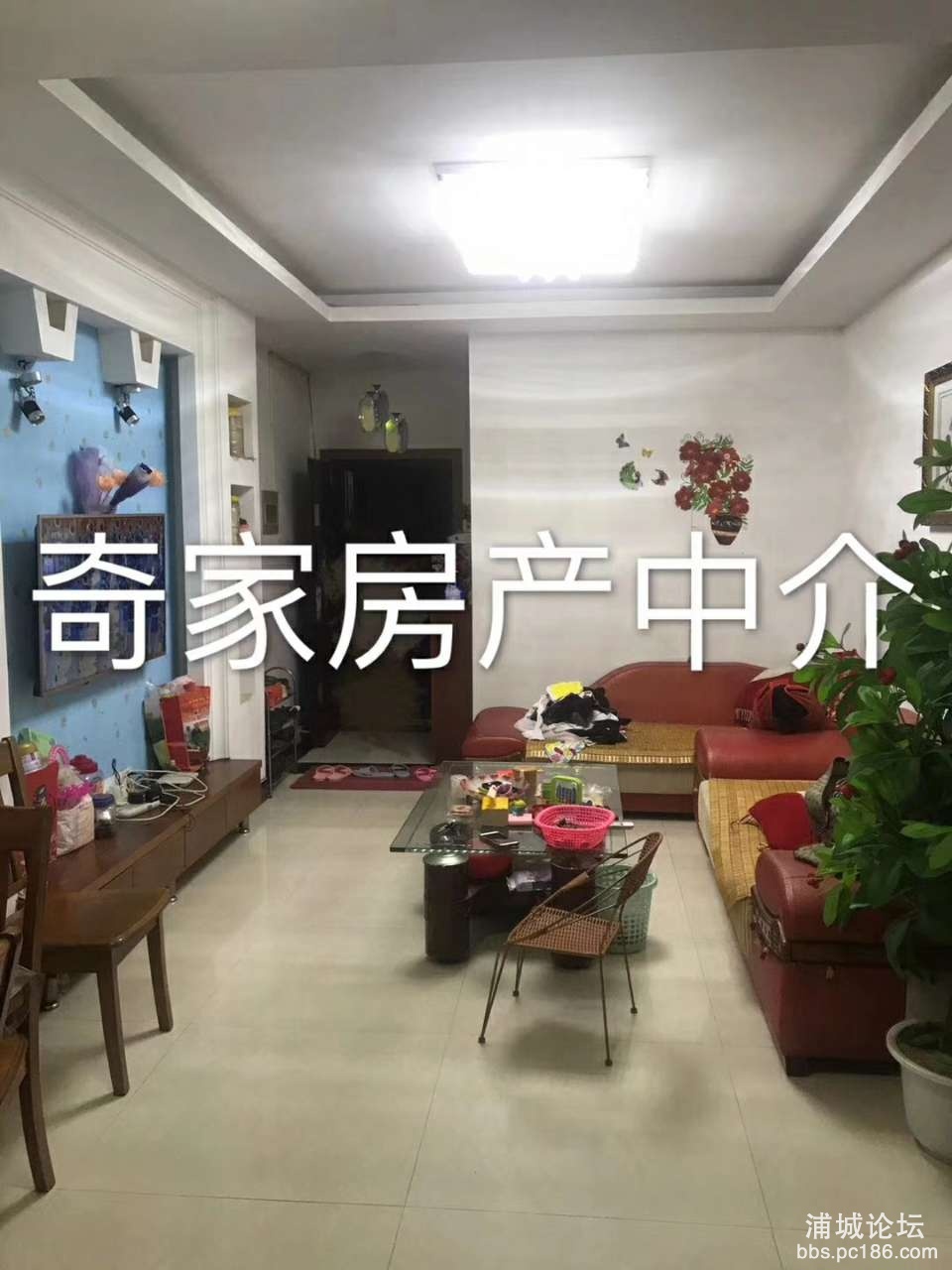 20191003_232760_1570111197557.jpg