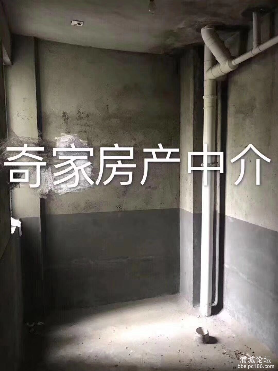 微信图片_201910122227243.jpg