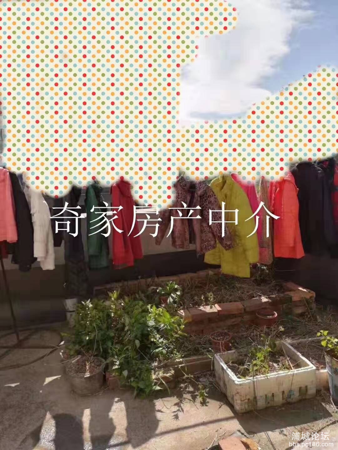 微信图片_201910211709411.jpg