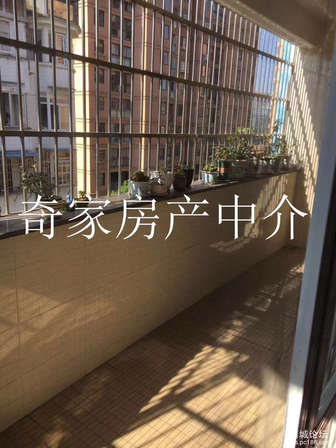 微信图片_20191021193908.jpg