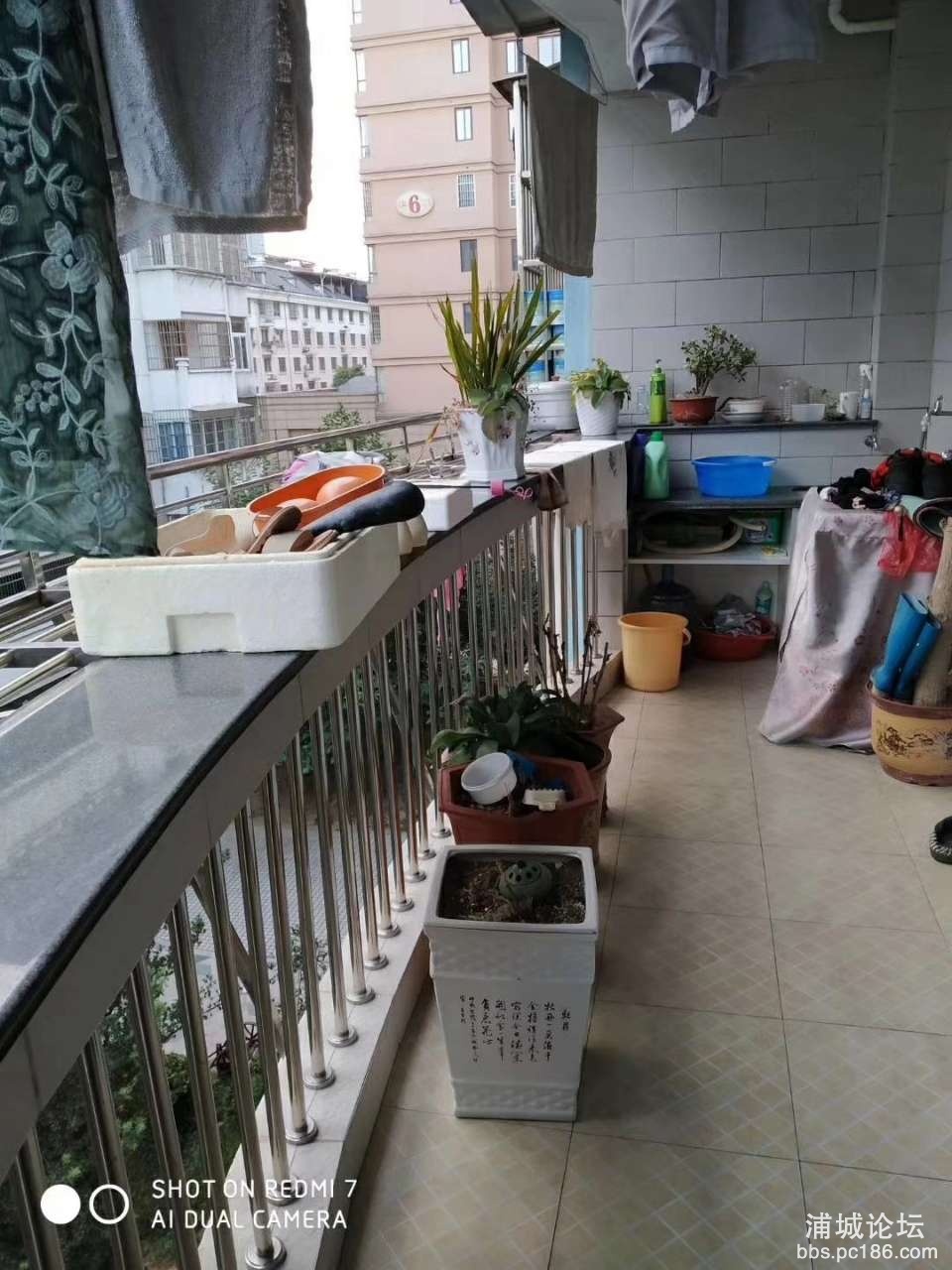 20191028_216773_1572243846335.jpg