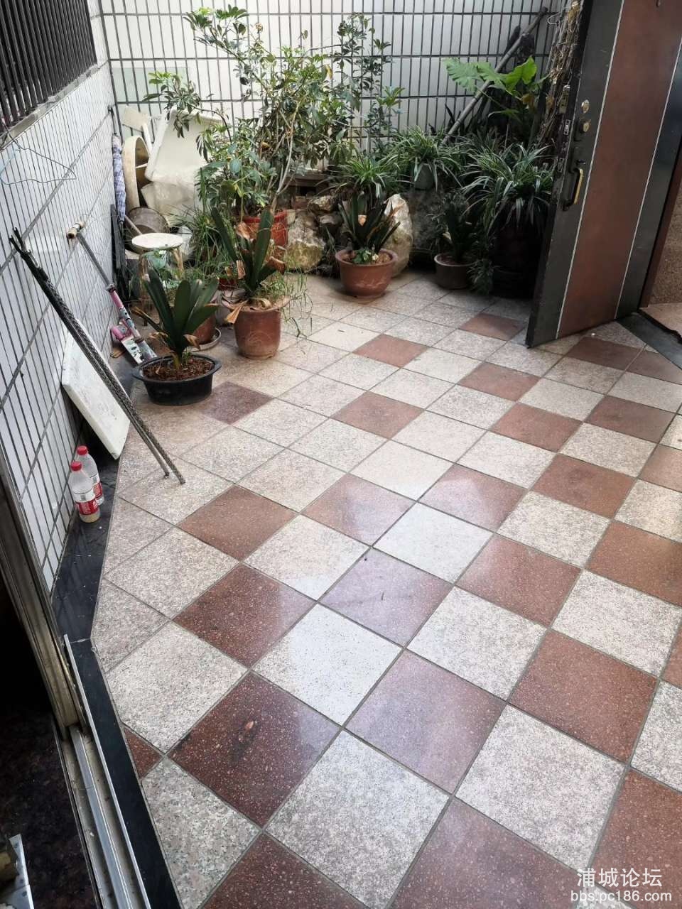 20191030_216773_1572405293559.jpg