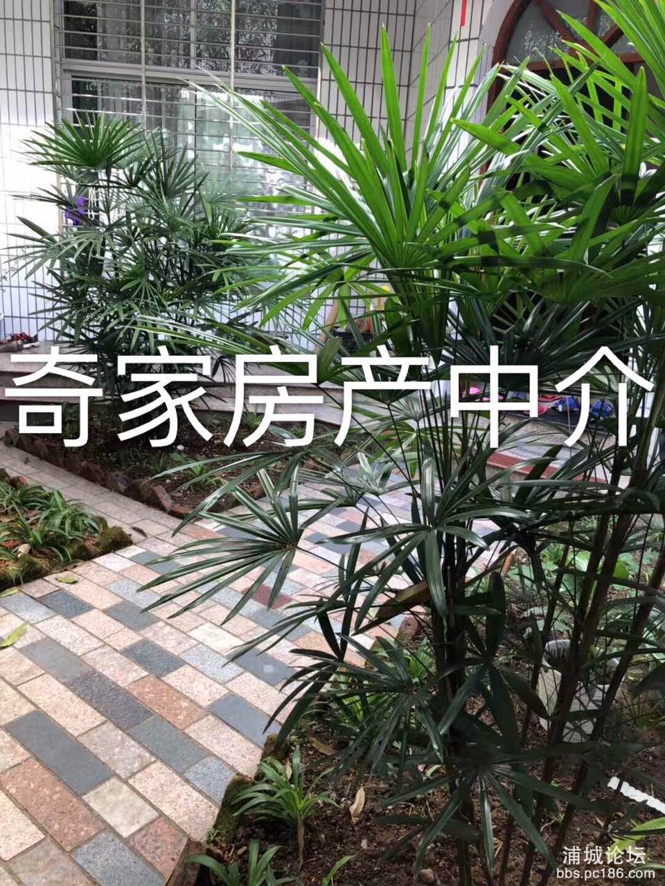 微信图片_20191030195029.jpg