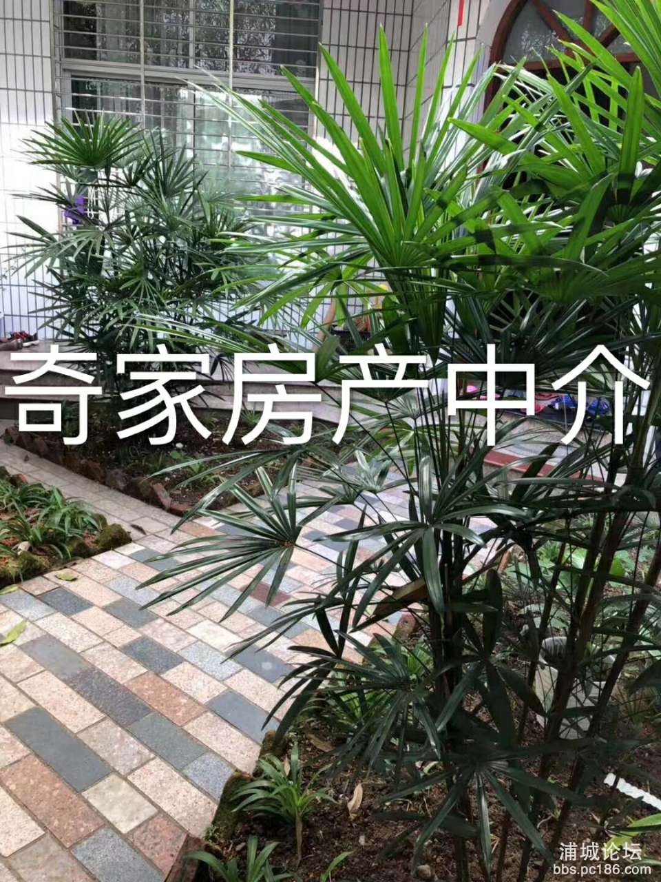 20191030_232760_1572436235224.jpg