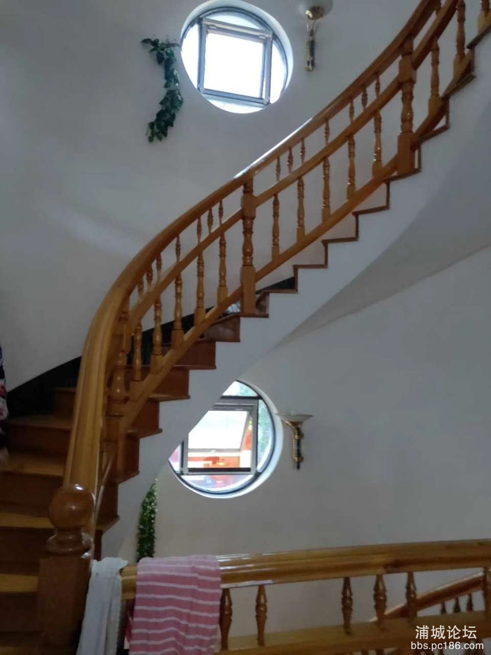 20191031_216773_1572503086040.jpg