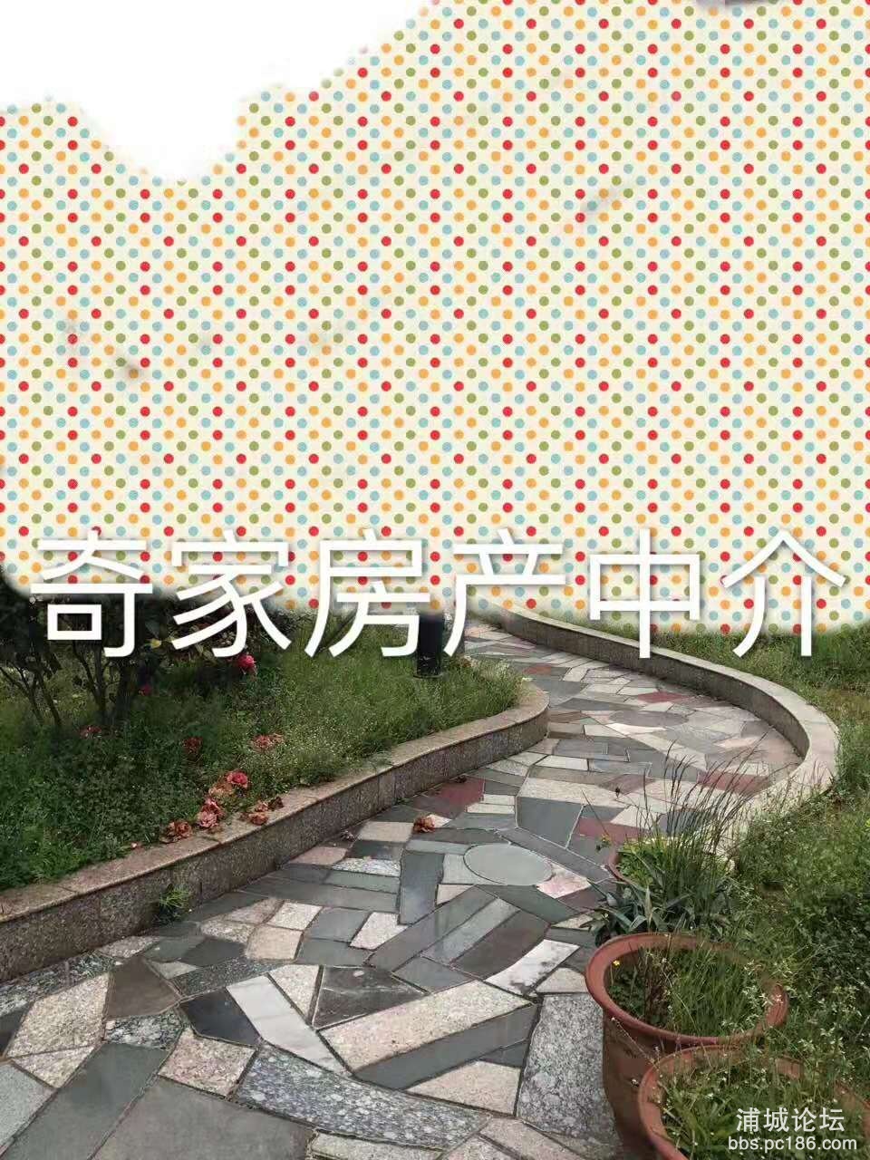 微信图片_201911021552308.jpg