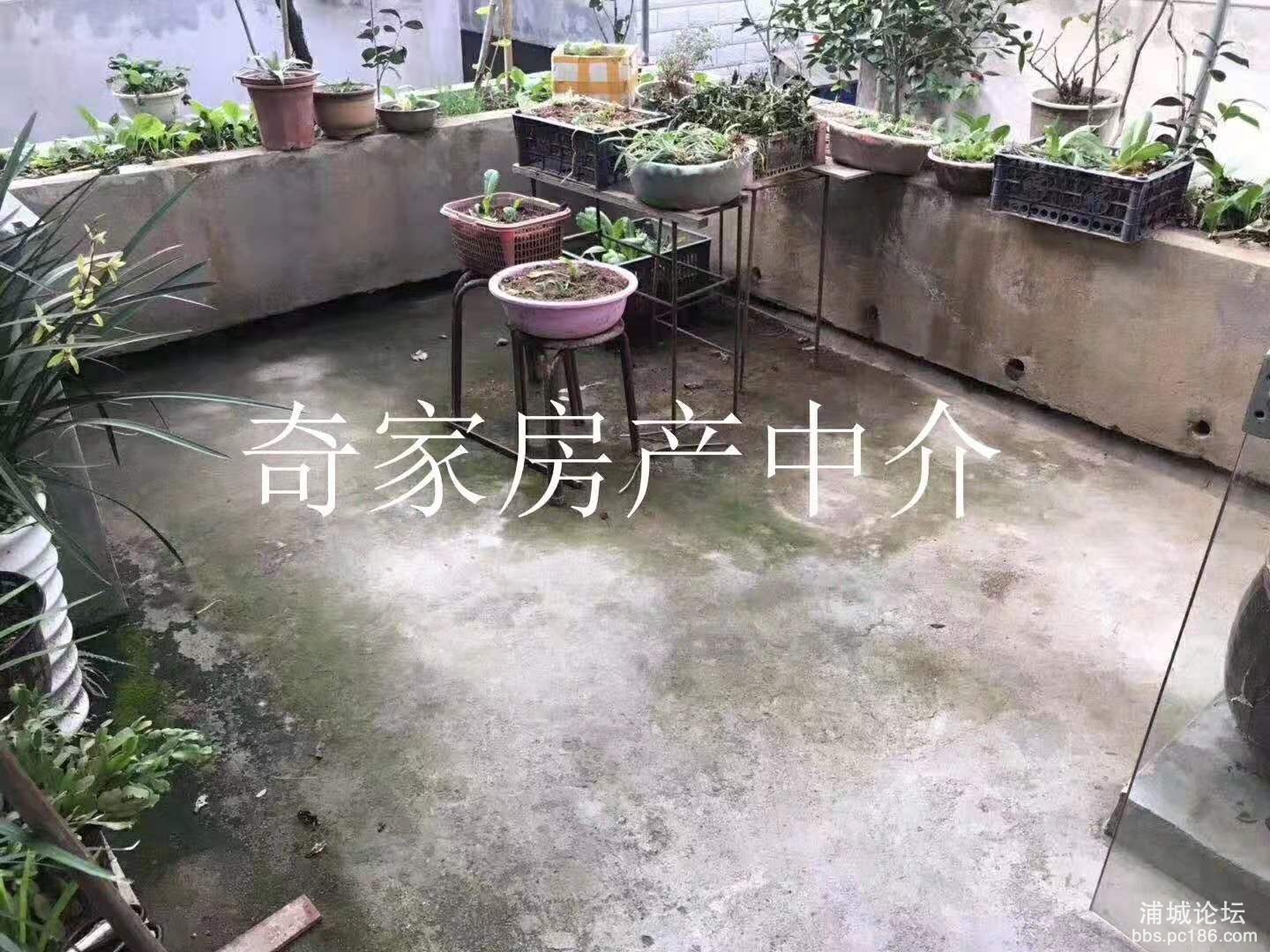 微信图片_201911021738144.jpg