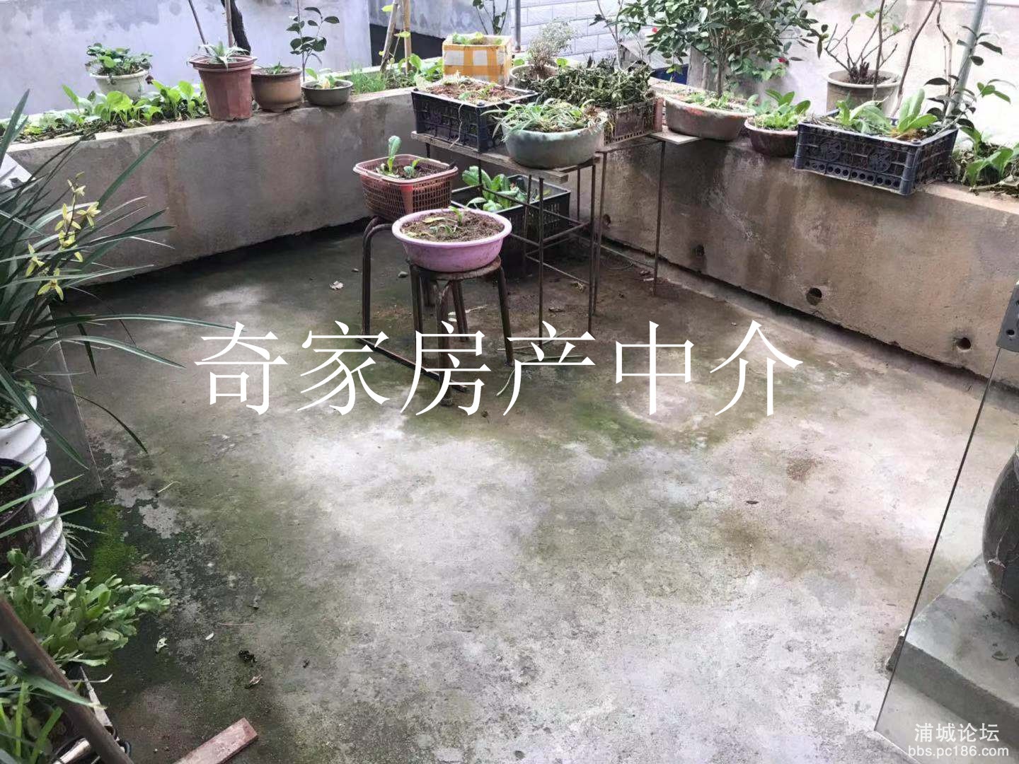 微信图片_201911021646084.jpg