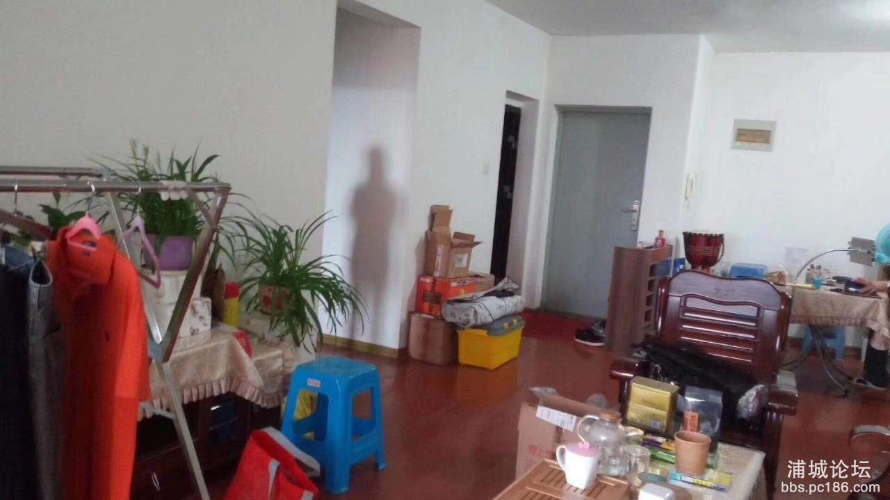 20191103_216773_1572743557833.jpg